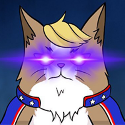 猫币