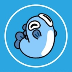 TON鱼梗币