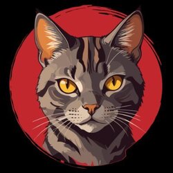 虎猫网络
