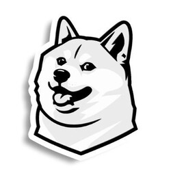 美元1狗狗币