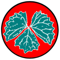 维现金币