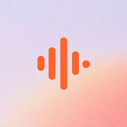 Vibe网络