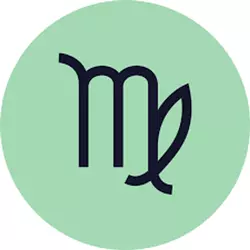 维戈网络