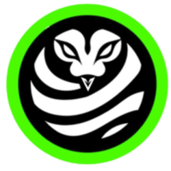 VYPER网络
