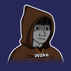 Wakehacker虚拟者
