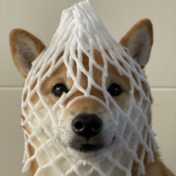 封装狗狗币