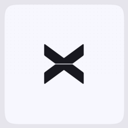 XBorg网络