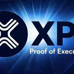 XPT网络