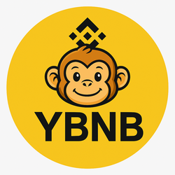 黄币BNB4