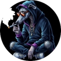 禅狗网络
