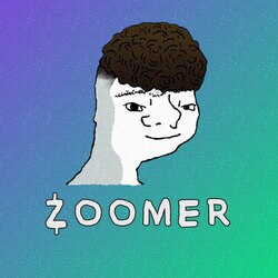 Zoomer网络