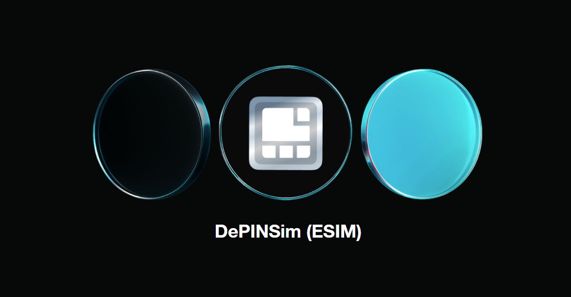 什么是 DePINSim (ESIM)?