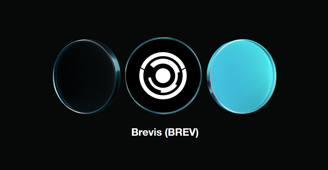 什么是 Brevis (BREV)?