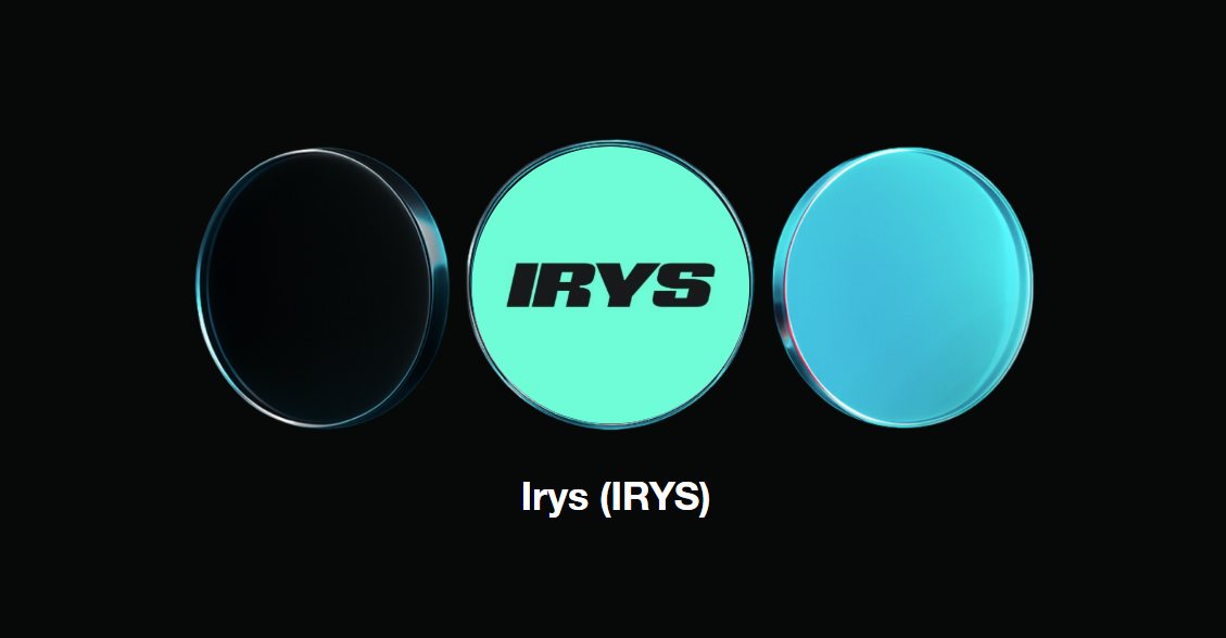 什么是 Irys (IRYS)?