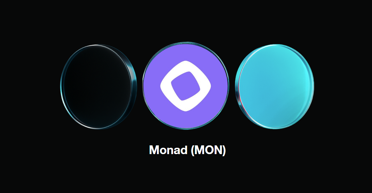 什么是 Monad (MON)?