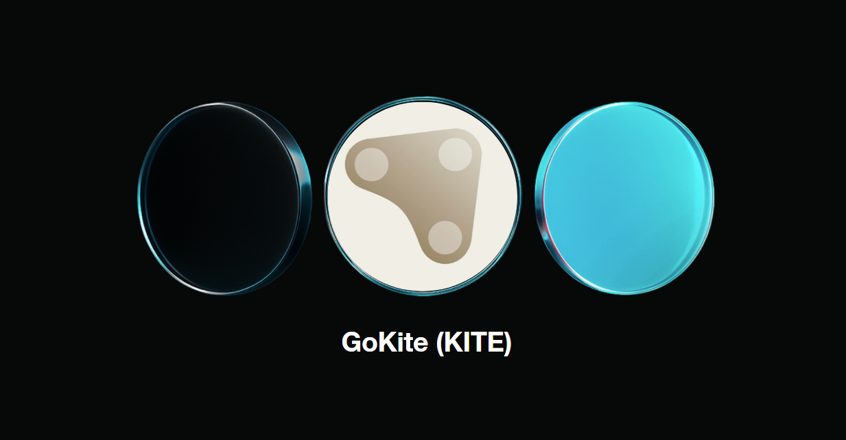 什么是 GoKite (KITE)?