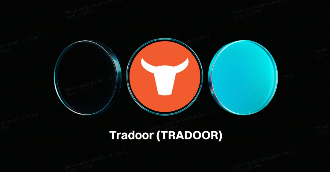 什么是Tradoor (TRADOOR)?