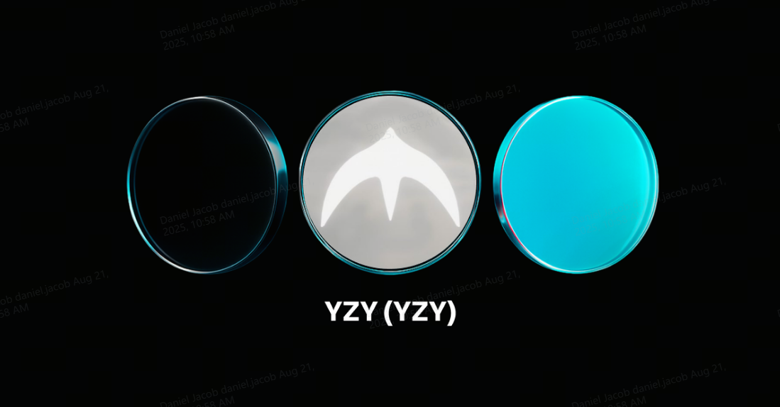 什么是Yeezy Money (YZY)?