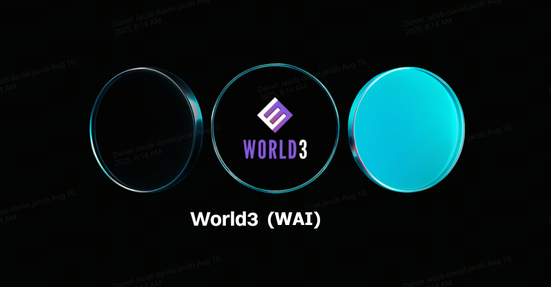 什么是WORLD3 (WAI)?