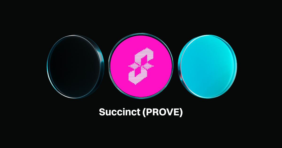 什么是Succinct (PROVE)？