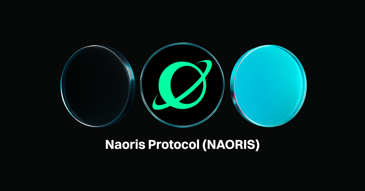 什么是Naoris Protocol (NAORIS)?