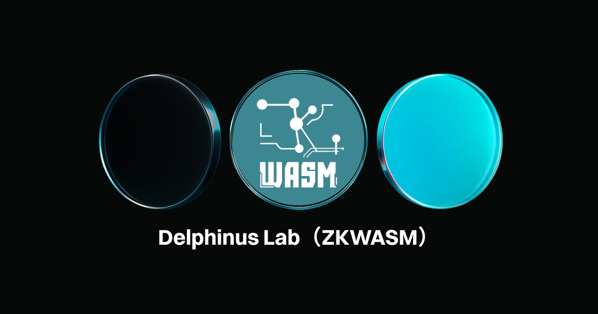 什么是 Delphinus Lab (ZKWASM)？