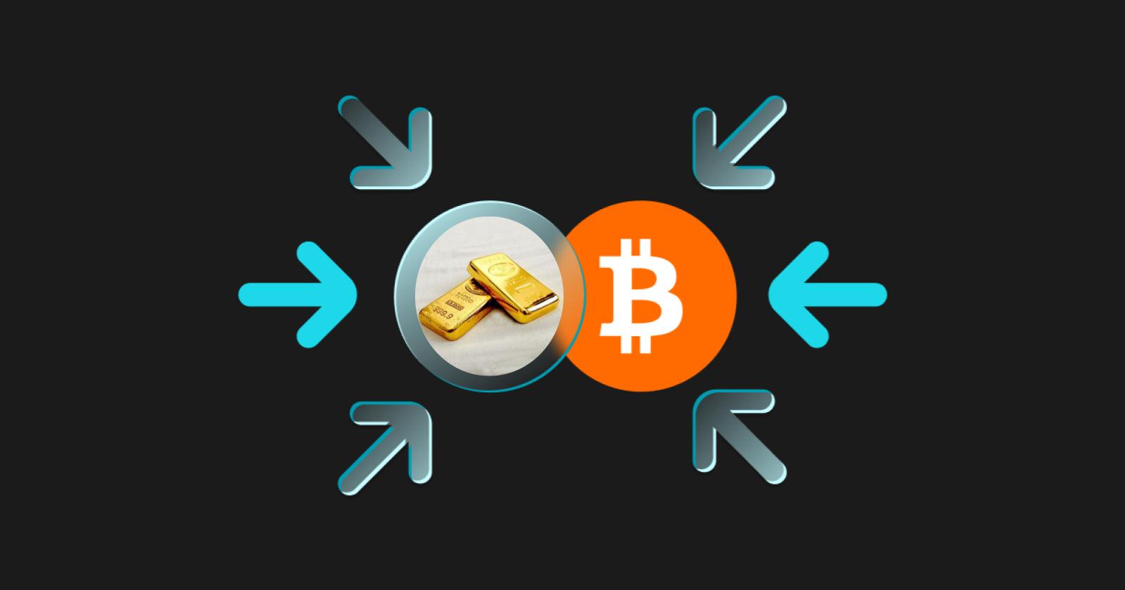 黄金还是比特币——2025年的投资方向