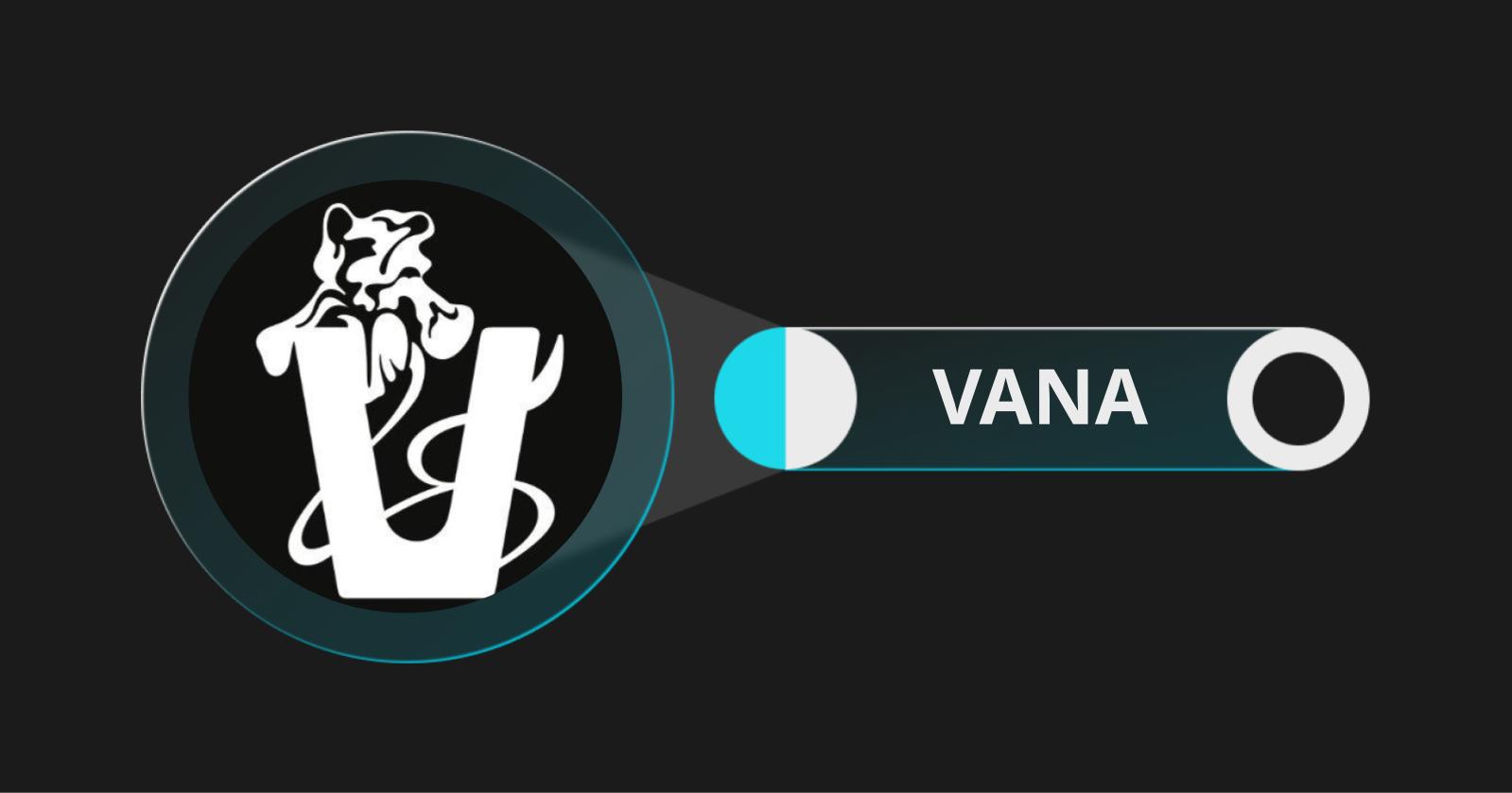 什么是Vana (VANA)?它如何运作?