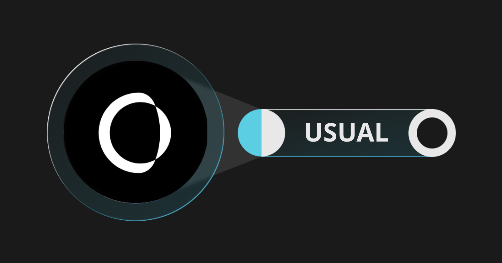 什么是Usual(Usual)?