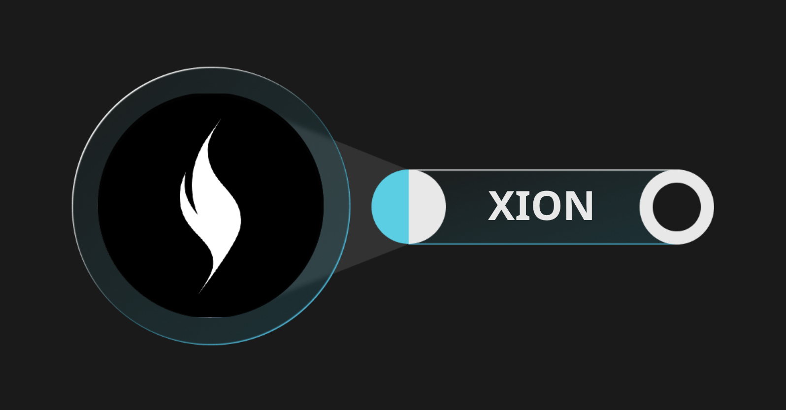什么是XION(XION)?