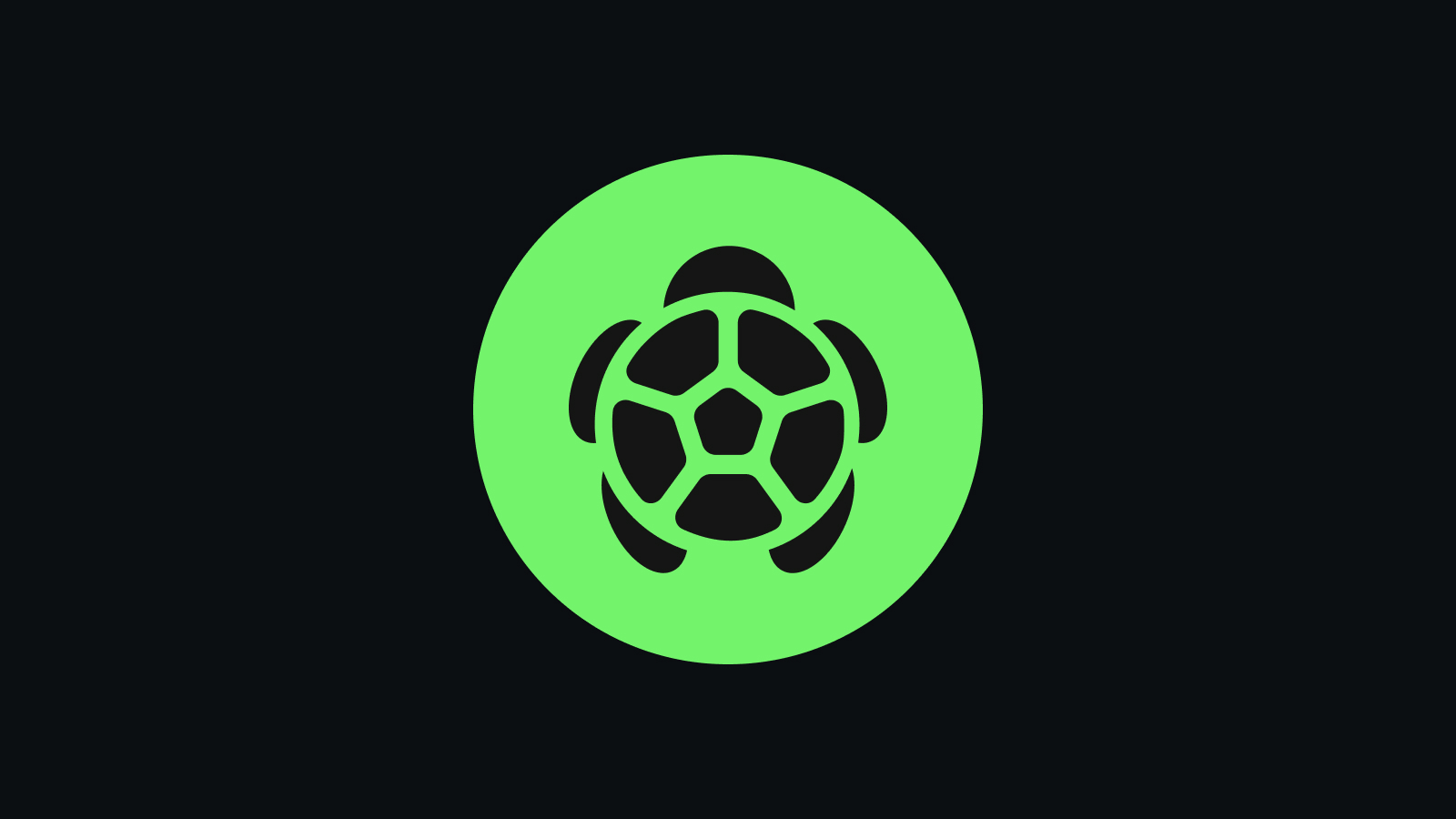 一文读懂 Turtle (TURTLE)