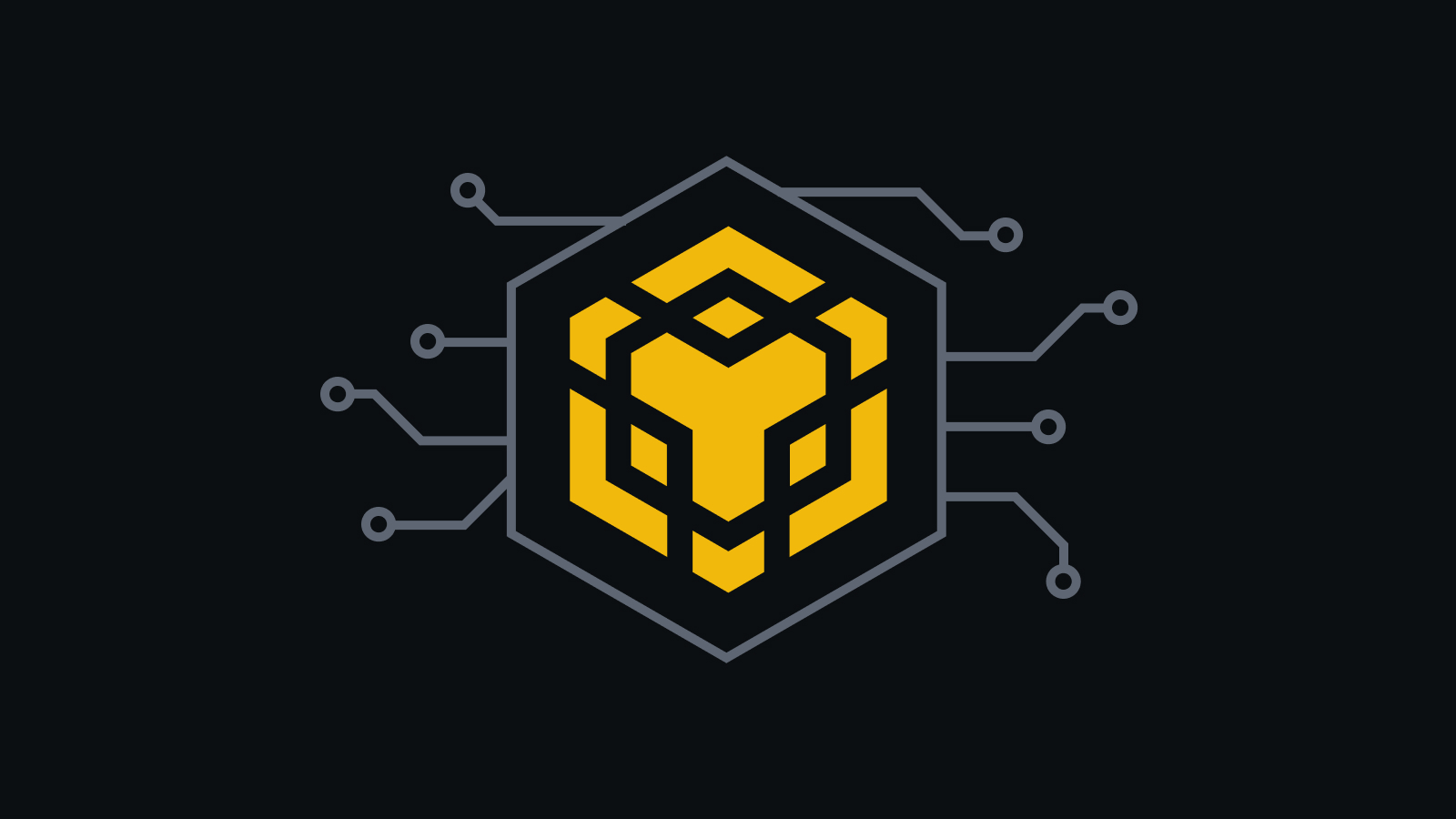 什么是BNB Chain?