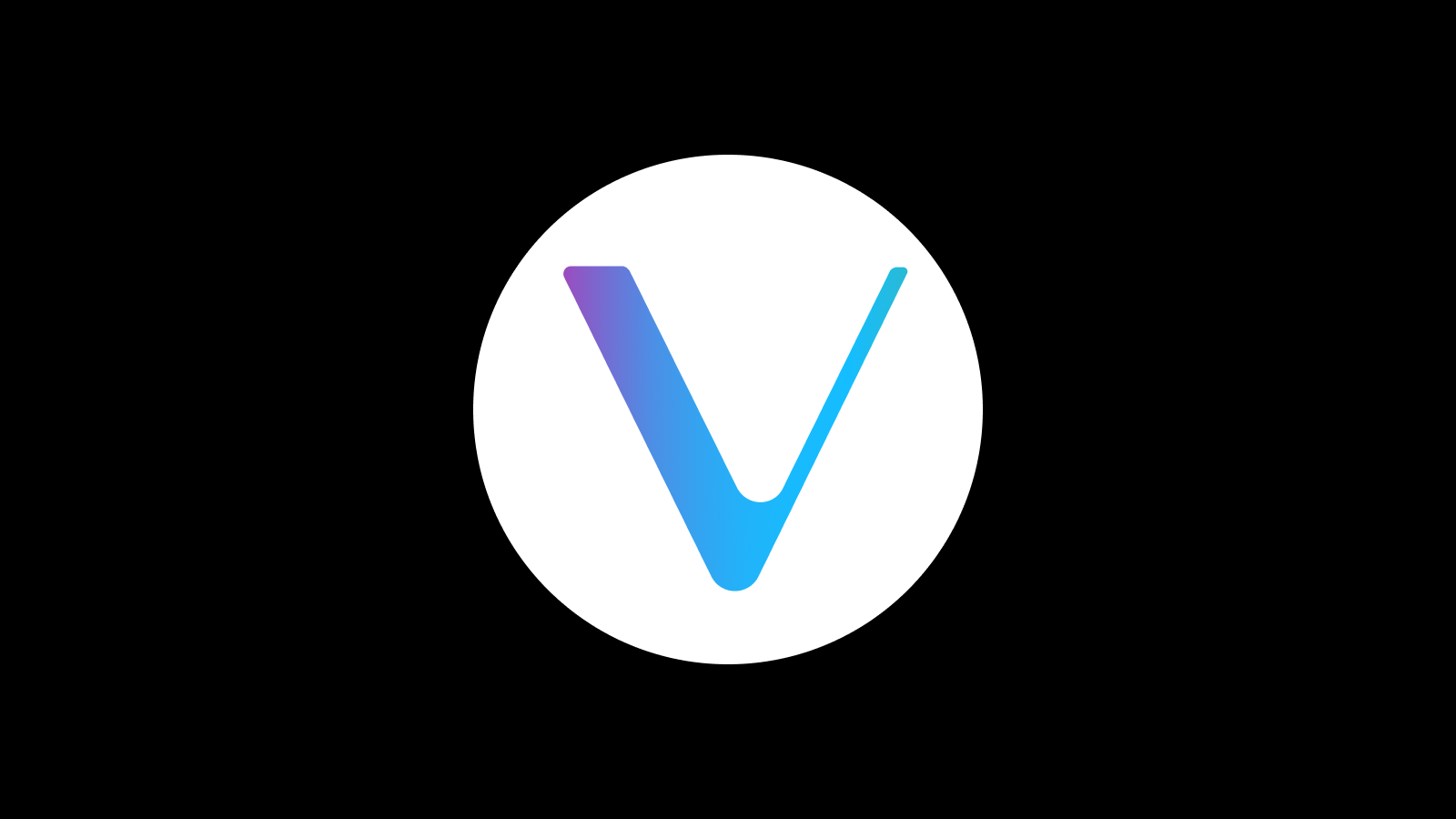 什么是 VeChain (VET)?